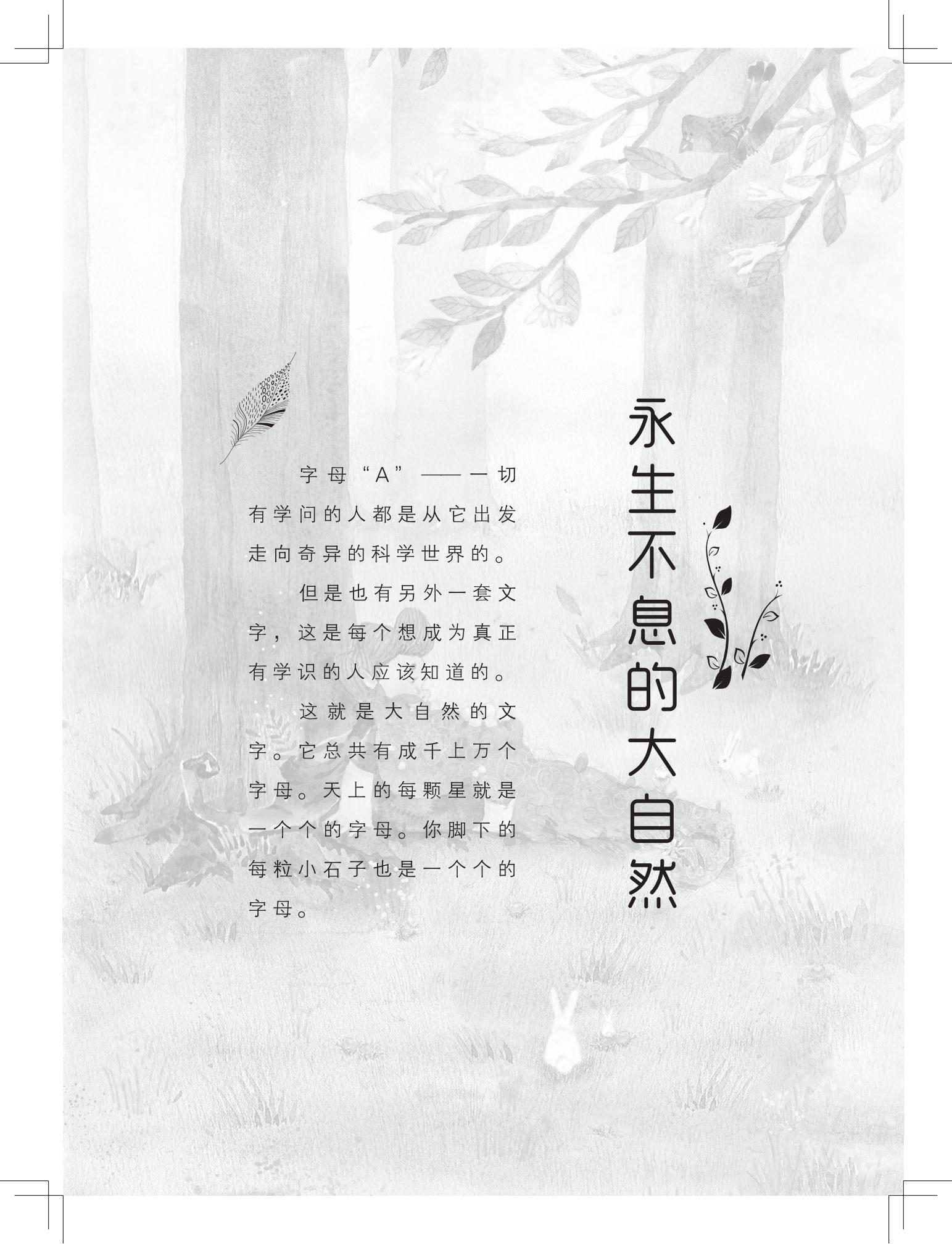 《做在大胡子里的鸟窝 》